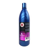 Shampoo Branqueador Matizante E Hidratante 1lt Brene Horse