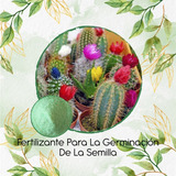 Fertilizante Para La Germinación De Cactus Mezcla