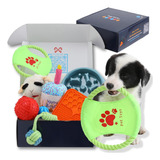 Kit De Iniciación Puppy Essentials, Caja De Regalo Para Perr