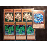 Set Dinosaurio Gragon De Agua Yugioh 