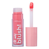 Vizzela Oh My Blush! Cor 03 Rouge Rose - Blush Líquido 6ml