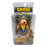 Crash Bandicoot Articulado Action Figure Pronta Entrega
