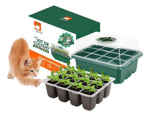 Kit Cultivo Catnip + Hierba Gatera, Menta Para Gatos