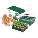 Kit Cultivo Catnip + Hierba Gatera, Menta Para Gatos