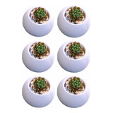 Maceta Cemento 6pzas Esfera Para Cactus Suculenta Vela Bla