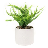 Maceta Ceramica Con Planta Artificial 12x26cm Aprox