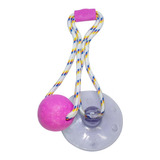 Brinquedo Truqys Divercão Push Ball Truqys Pet - Pequeno 