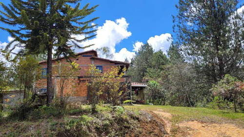 Venta De Terreno Ideal Para Subdividir En Parcelas En Guarne - Imagen 3