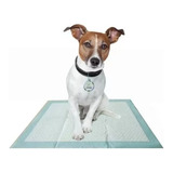Alfombra Sanitaria Paños Para Perros Puppy Pads 60x60cm X 7u