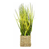 Planta Artificial Grass Com Pote Flor Arte 41cm