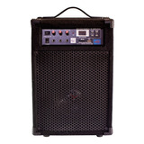 Amplificador De Voz-guitarra Avc-450r-usb 45 Watts Con Usb