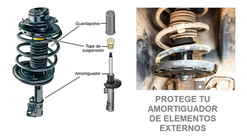 Kit Guardapolvo Tope Amortiguador Delantero Ford Festiva Foto 2