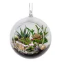Terrario Suculenta En Esfera Colgante De Vidrio Regalo\u002F15cm | MercadoLibre