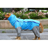 Capa Impermeable Sport Lluvia Para Perro