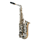 Saxofon Silvertone Slsx017 Alto Eb Plata Mate Con Estuche