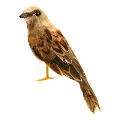 Taxidermia Realista 1