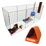 Cercado Pet Cachorro Pequeno 8 Telas Aramada 60x80 + Brinde