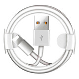 Cable Cargador 1m Para iPad 4/5/6/7/8/9 Mini/air/pro