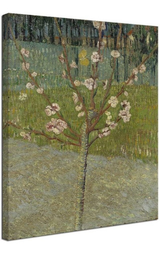 Almendro En Flor De Van Gogh Pinturas Al Óleo Reproduc...