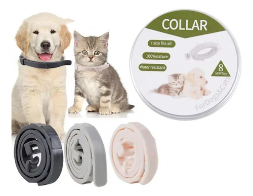 Collar Anti Pulgas Repelente Para Gato 8 Meses De Protección