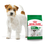 Royal Canin Mini +8 X3kg