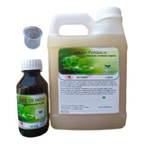 Cactucentro 1 L De Jabón Potásico 120 Ml De Aceite De Neem Puro