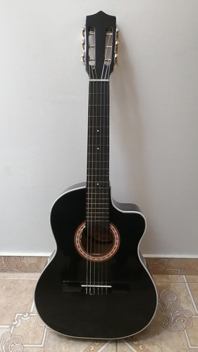 Guitarra Puntera