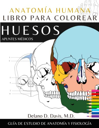 Libro : Anatomia Humana Libro Para Colorear Huesos...