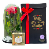  Rosa Preservada Cúpula Caja Regalo Ferrero Dia De La Madre