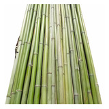20 Varas De Bambú Natural Jardin 110cm Largo / 5 Cm Grosor