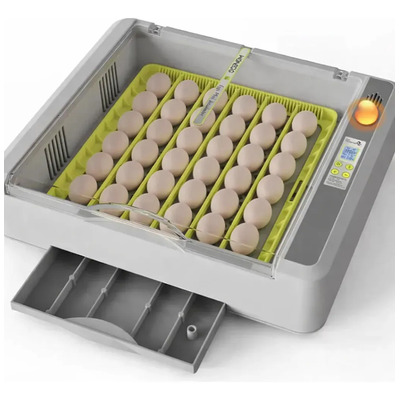 Incubadora 36 Huevos Control Automatico Digital Pollo Y Aves | Meses sin interés