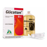 Glicoton B12 Energético 500ml - Com Equipo E Agulha