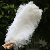 1 Pluma Avestruz Sueltas Naturales 45-50cm Eventos Blanco