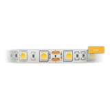 Tira Led 5050 Exterior 5 Metros 72w Color De La Luz Blanco Frío