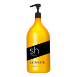 Shampoo Lowell Lavatório Uso Profissional 2,5 Litros
