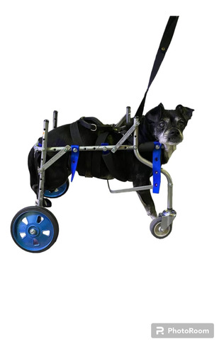 Andadores Para Perros De 7 A 12 Kilos Ortopedia Veterinaria