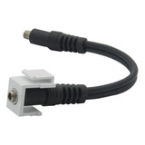 Jack Keystone Conector Audio 3.5, Cable 15cm - Face Plate