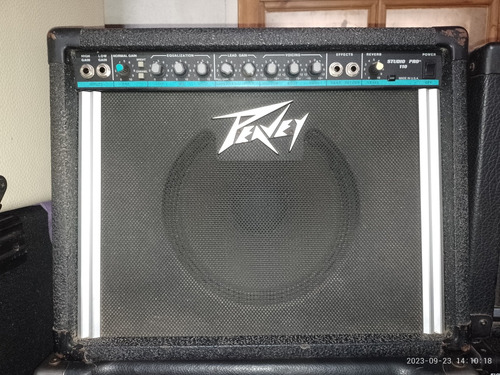 Peavey 110 Pro