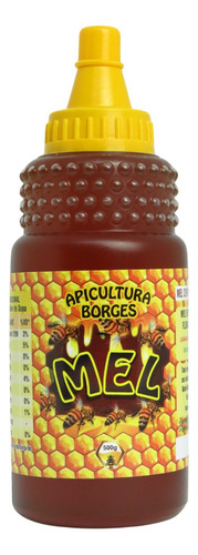 Mel Puro De Abelha 100% Natural - 500g Florada Eucalipto Premium