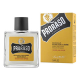 Proraso Wood And Spice After Shave Balm