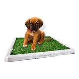 Tonipets Alfombra Sanitaria  48 Cm X 47 Cm