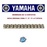 Borracha Teclado Yamaha Psr S500 / S550 / S650 Frete Gratis