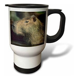 Vaso - 3drose Capybara Wildlife, Llanos, Venezuela, Stainles