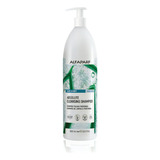  Apg Hair&body Abs, Cleans Shampoo 1000ml