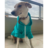 Buzo Hoodie Ropa De Perro Friza Algodon Aqua Talle 4