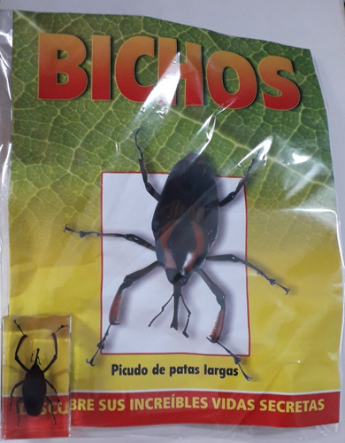 Bichos -picudo De Patas Largas  + Fasiculo - Rba