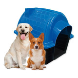 Casa Pet N5 Azul Plástico - Casinha Para Cães E Gatos