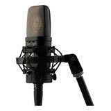 Microfono Warm Audio Wa 14 Condenser Tipo C414