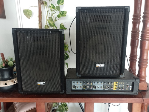 Equipo De Sonido Skp 4 Canales Con Sus Dos Parlantes