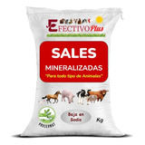 Sal Mineralizada Para Ganado Bovino Amelazado Saco De 20kg